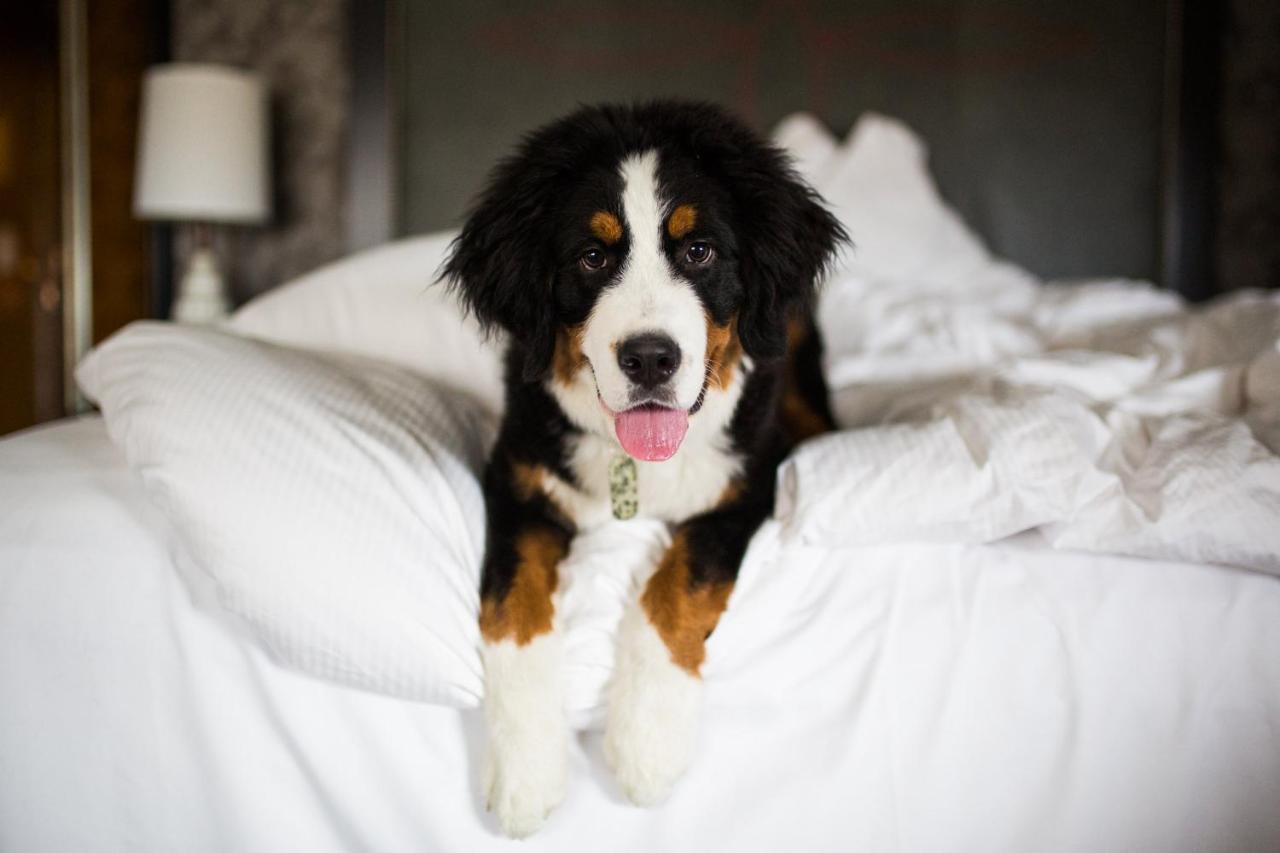 Loews At Vanderbilt Plaza 4* Nashville